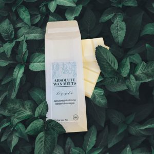 Apple Wax Melt Bar