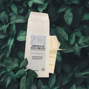 Eucalyptus Wax Melt Bar